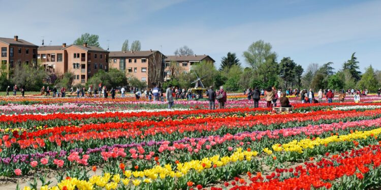 Tulipark Bologna