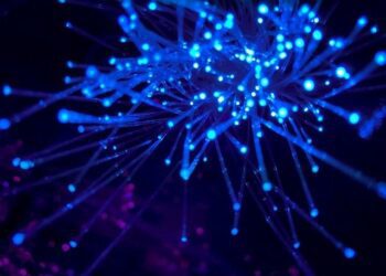 10 Motivi Per Il Boom Di Internet