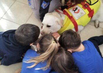 2 Momento Dell'incontro Ev