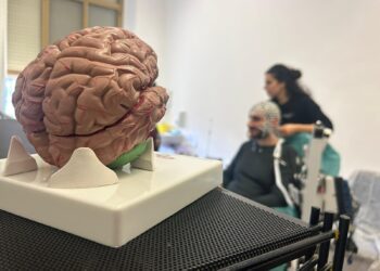 Eeg Ad Alta Densità 256 Canali