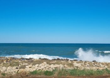 Whatsapp Image 2024 03 15 At 11.41.34