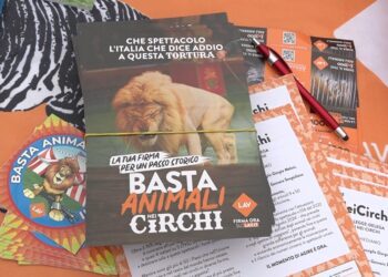 Animali Nei Circhi