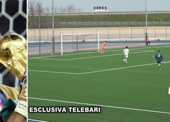 Buffon Ev
