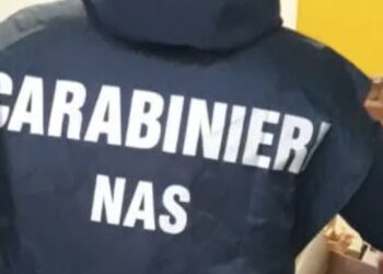 Carabinieri Nas