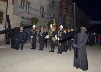 Crociferi