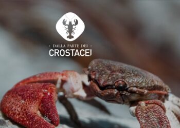 Crostacei