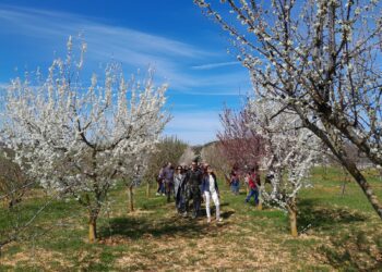 Foto Escursioni Di Primavera