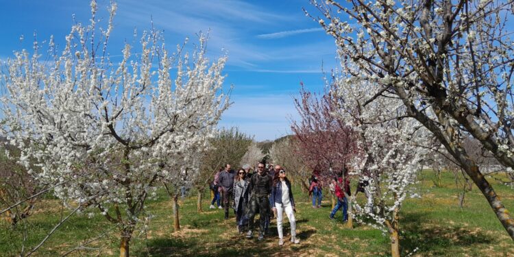 Foto Escursioni Di Primavera