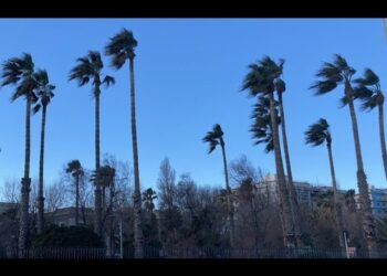 Il Meteo Di Laricchia: “san Giuseppe Con Sole E Vento Di Maestrale. Mercoledì Inizia La Primavera” – Video