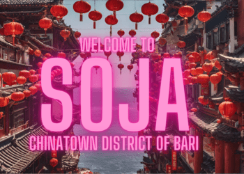 Soja Bari