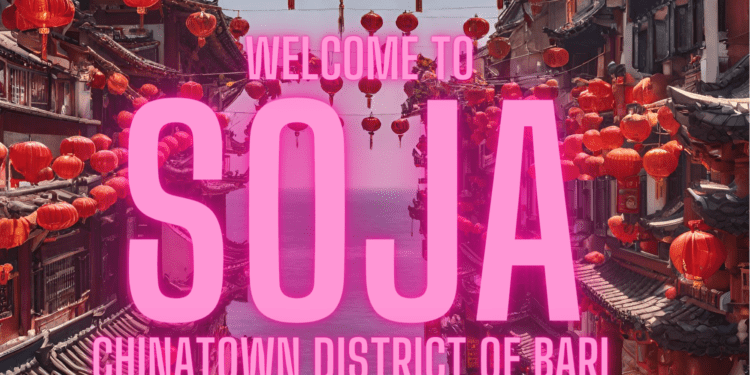 Soja Bari