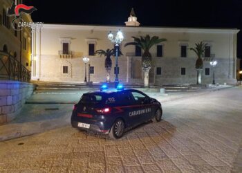 carabinieri bat