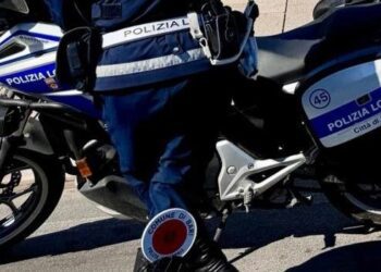 Polizia Locale 2