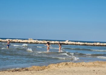 mare