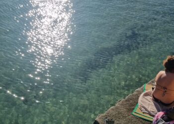 mare