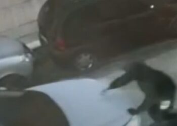 Auto Rubate 2
