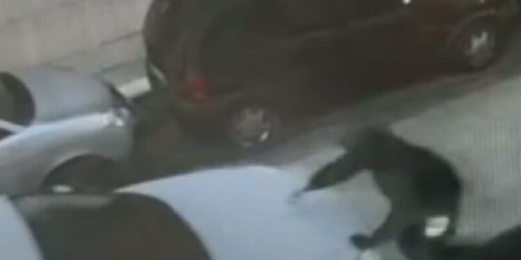 Auto Rubate 2