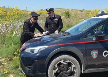 Carabinieri Forestali