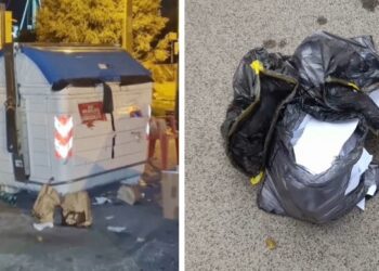 Cassonetto Arresti Triggiano