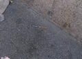 D9231763 346b 4d00 8d1b Ca34e53f9dc9