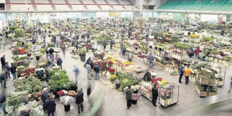Mercato Fiore