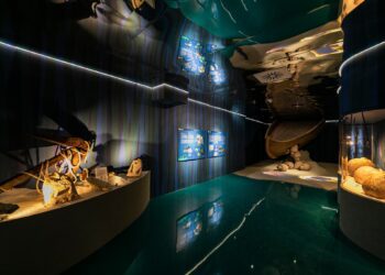 Musei Aperture