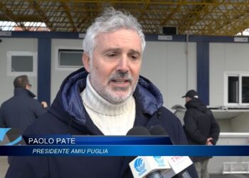 Pate Amiu