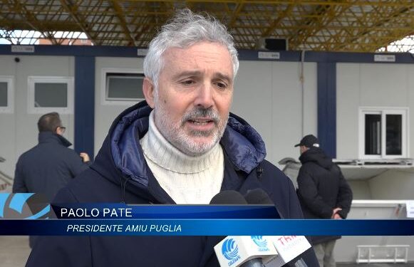 Pate Amiu
