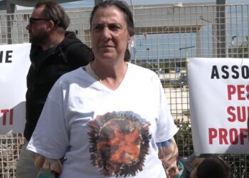Protesta Ricci