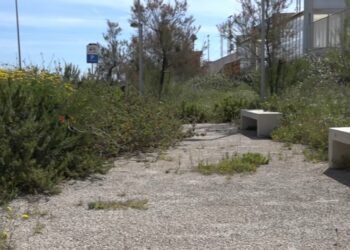 Stazione Torre Quetta