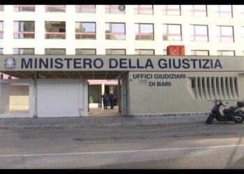 Studente Erasmus Investito Sulla Ss100, Archiviato Il Caso Sulla Morte Di Mateo: “nessun Responsabile” – Video