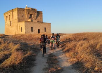 Torre Guaceto