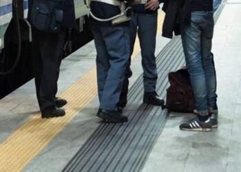 Treni Polizia Stazione