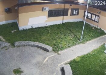 Vigili 1