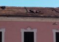 Img 7028