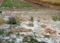 Violenta Grandinata A Lecce Tutto Distrutto In Pieno Campo A Nardò E Copertino