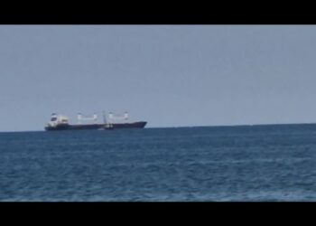 A Bari La ‘nave Fantasma’ Alma Carica Di Grano Turco, Coldiretti Annuncia Arrembaggio Con I Gommoni