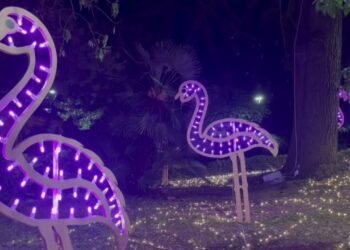 Conversano Diventa ‘borgo In Fiore’: Si Accendono Anche Le Luci Del ‘lumen Light Fest’ – Video