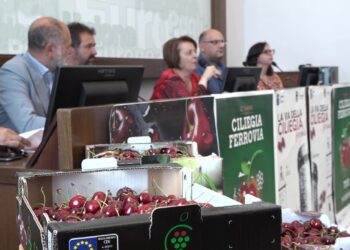 Gastronomia, Show E Artigianato: A Turi E Conversano Arriva La Sagra Della Ciliegia ‘ferrovia’ – Video