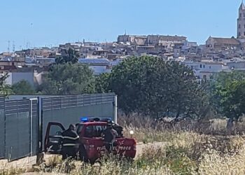 Incendio Palo