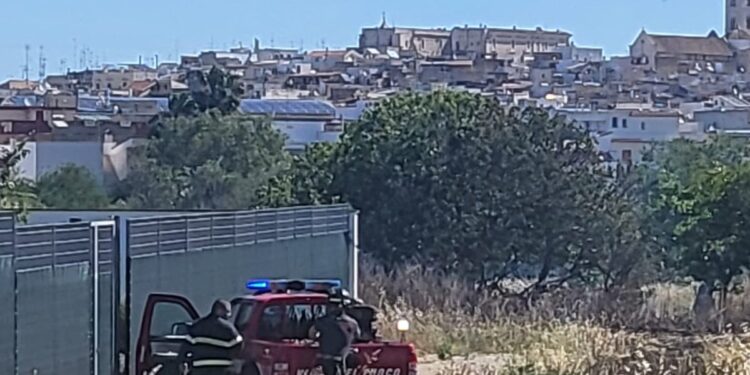 Incendio Palo