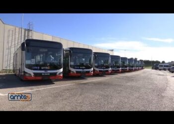 Litiga Con Autista Amtab, Scende E Sfonda Il Vetro Col Pugno. Donvito: “ecco Perché Girano Bus Vecchi”