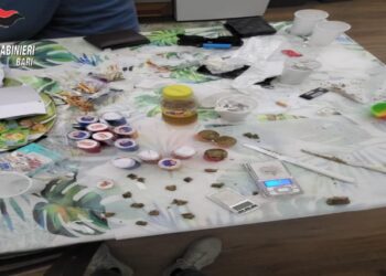 Mola Arresti