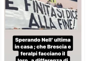 Pulcinelli Ascoli