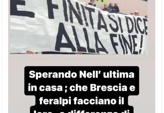 Pulcinelli Ascoli