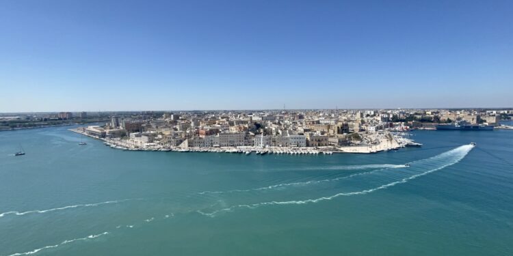 Img 1388 (1)