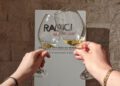 Radicidelsud