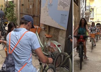 Bici E Risciò Ev