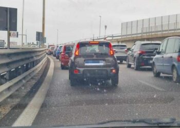 Code Curvoni Palese Direzione Sud Incidente