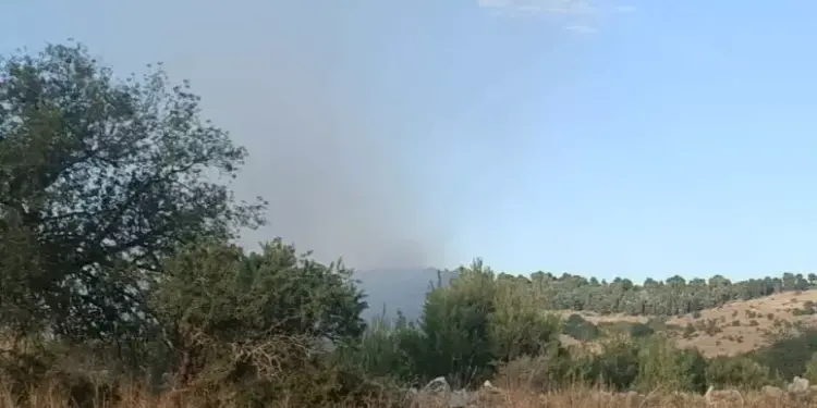 Incendio